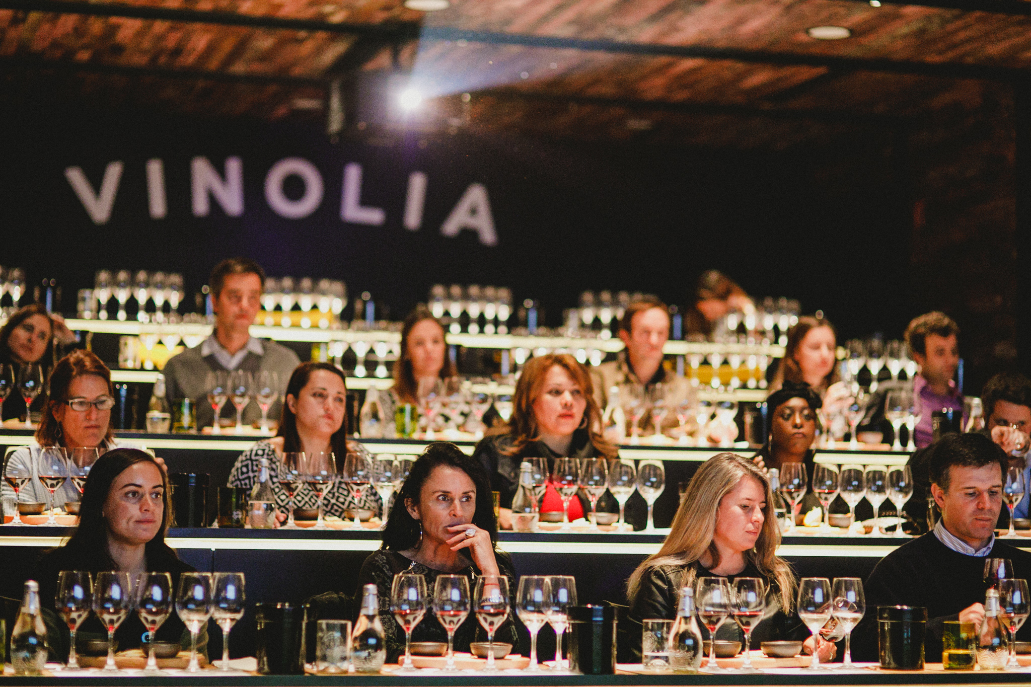 Vinolia: la aventura del vino
