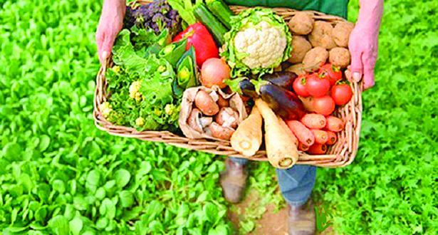 Los alimentos podrían desplazar al cobre como principal ingreso de Chile