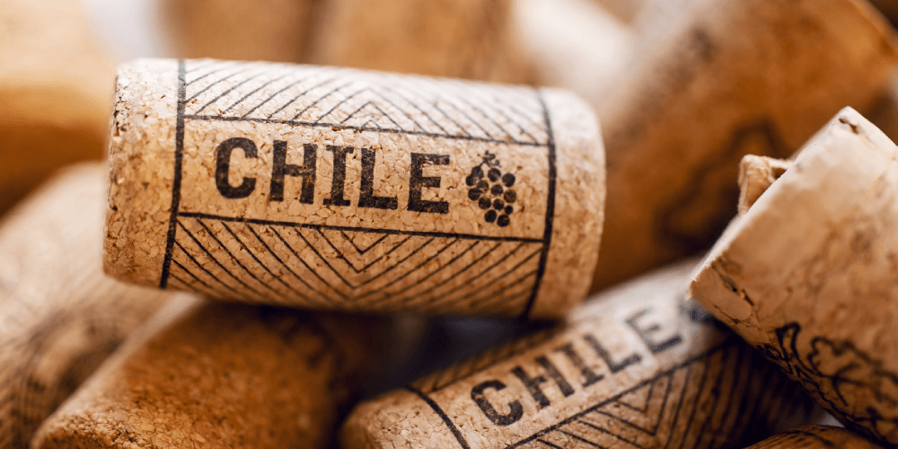 “Chile es considerado un laboratorio natural para el lanzamiento de nuevos productos”